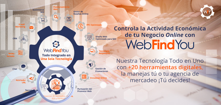Controla la Actividad Económica de tu Negocio Online con WebFindYou