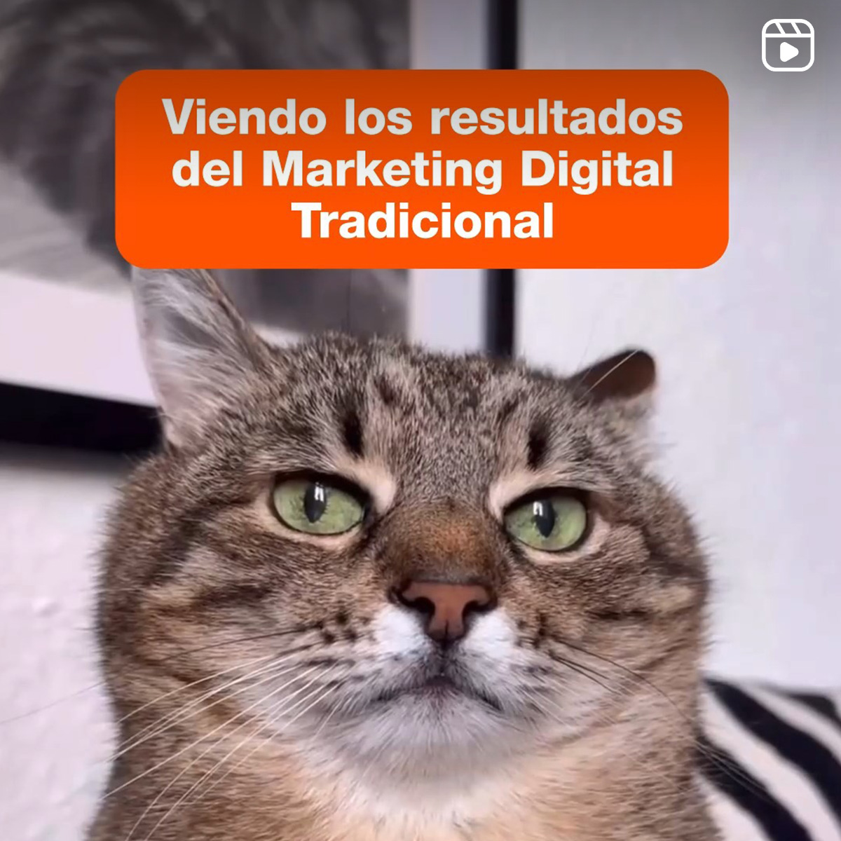 Viendo los resultados del Marketing Digital Tradicional