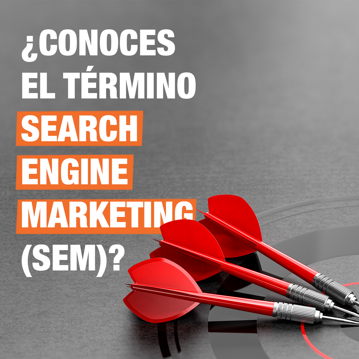 CARRUSEL: ¿Conoces el término Search Engine Marketing (SEM)?