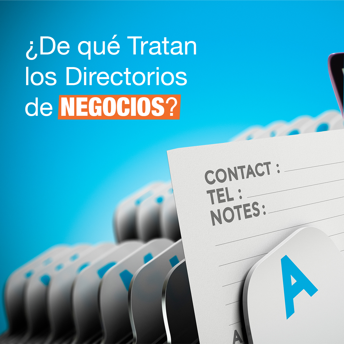 CARRUSEL: ¿De qué Tratan los Directorios de Negocios?