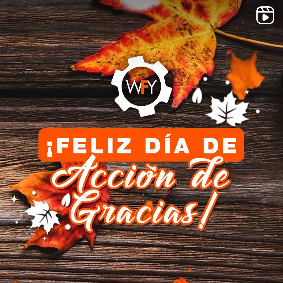 Día de Acción de Gracias