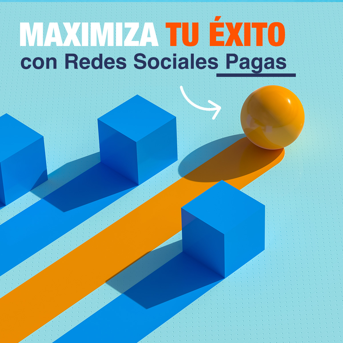 CARRUSEL: Maximiza tu Éxito con Redes Sociales Pagas