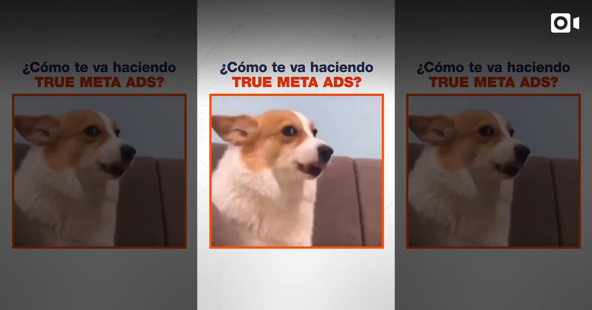 ¿Cómo te va haciendo True Meta Ads?