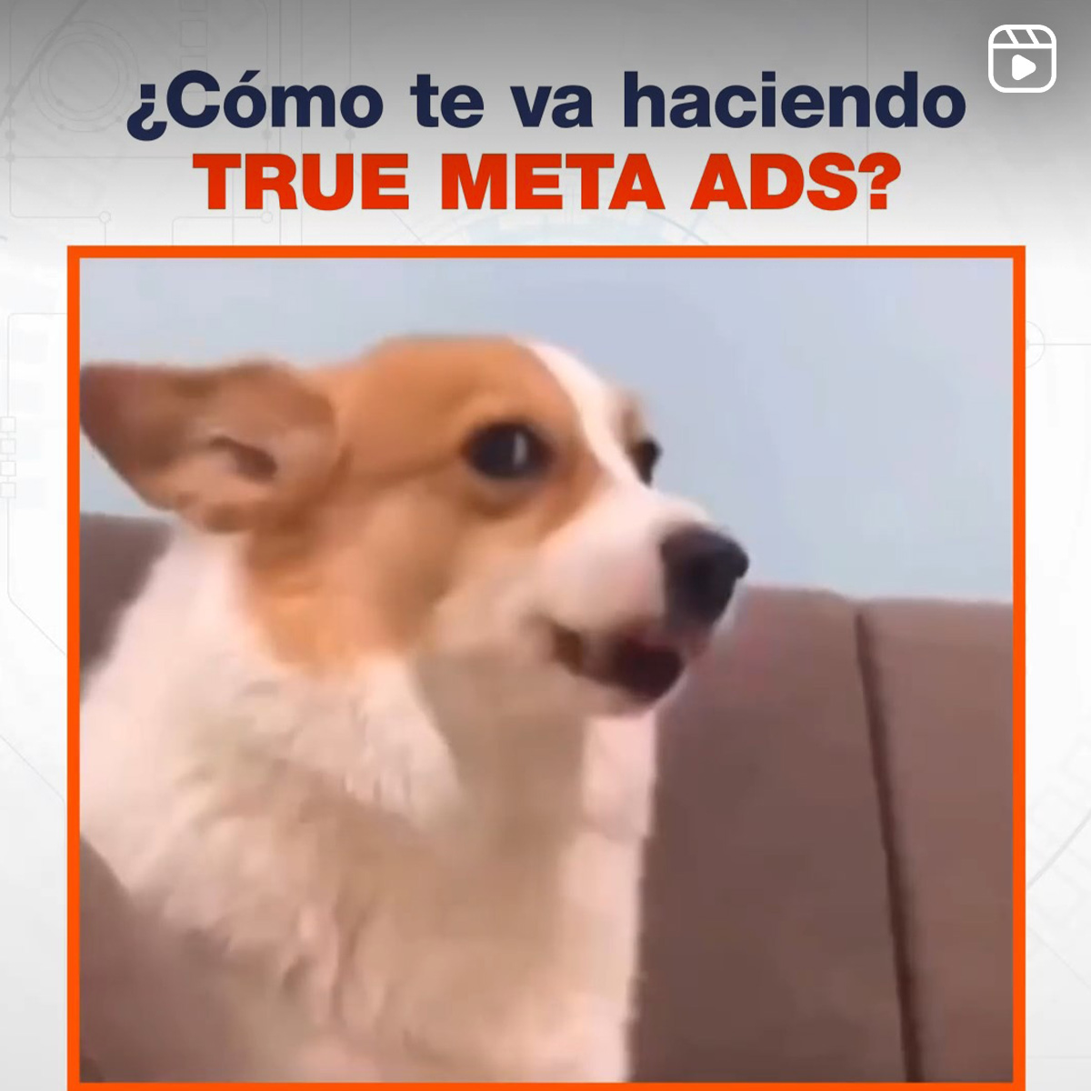 ¿Cómo te va haciendo True Meta Ads?