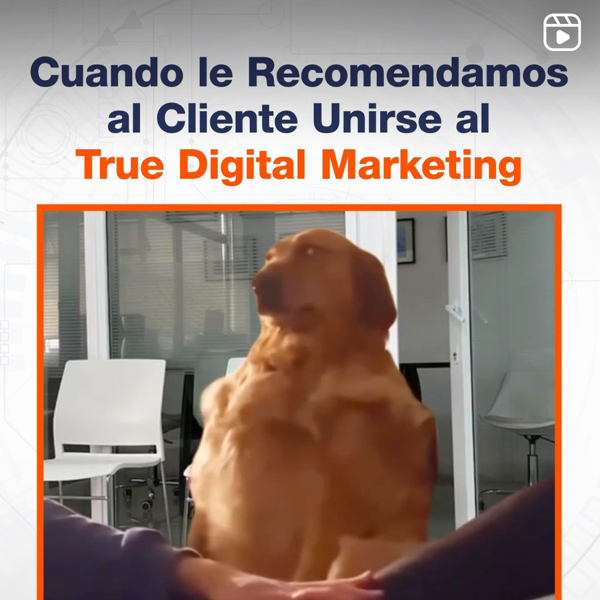 Cuando le Recomendamos al Cliente Unirse al True Digital Marketing